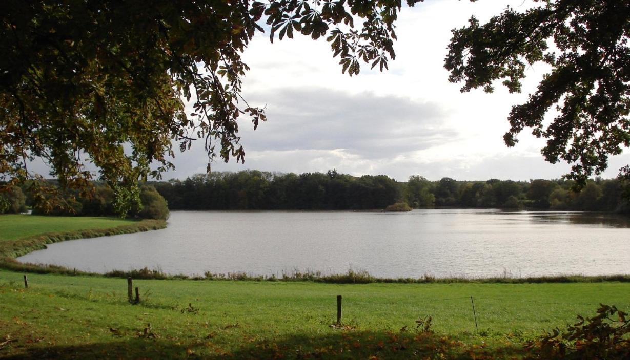 Erdgeschoss-Appartement Mit Seeterasse Ahrensbok Buitenkant foto